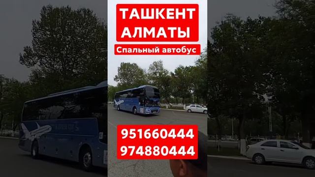 ТАШКЕНТ АЛМАТЫ Спальный автобус 974880444 #ishonchli #avtobus #migrantbus #almata #tashkent