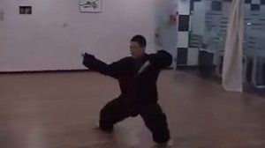 Бацзицюань - ушу (An Wushu  Ba Ji Quan)
