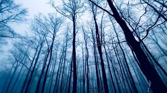 ЧТО ЗА КВАРТИРУ ОХРАНЯЕТ СЕРГЕЙ ? ? ? ? ?  ПОЧЕМУ ТАМ НАВЕСНЫЕ ПОТОЛКИ И ПОЛНАЯ РАЗРУХА ? ? ? ? ? смотреть онлайн