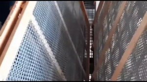 Как делают семена кукурузы??