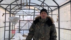 Зимнее укрытие винограда в теплице.