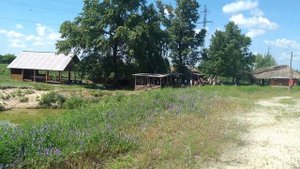 Днепропетровская область, Петриковский район, с. Елизаветовка, Конеферма часть 1