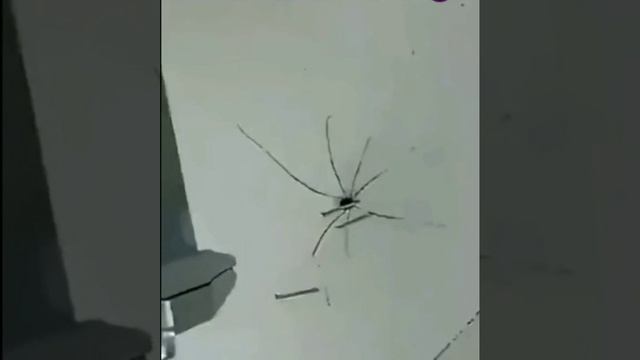 Борис Хрен Попадёшь