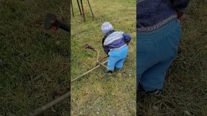 Малыш косит траву