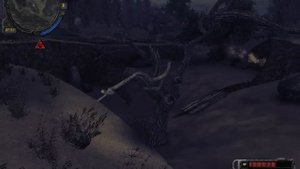 S.T.A.L.K.E.R. Долина Шорохов-тайник на дереве