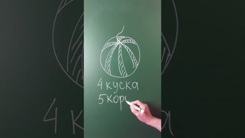 4 куска 5 корок