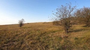 Полуоси разгруженные усиленные ВолгоАвтоПром.  Турецкий самовар .....