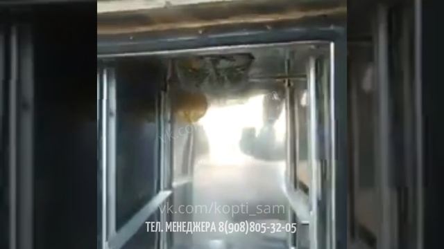 Коптильня КоптиСам 120 домик до 15кг загрузки.mp4