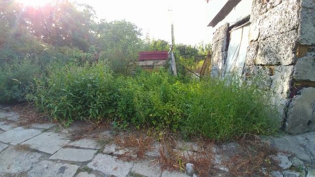 Koszenie ogrodu kosą spalinową Stihl FS 490 C-EM смотреть онлайн