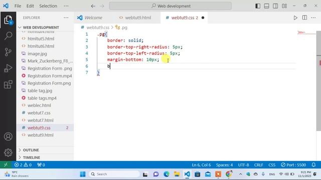 How to use Color, Font Styles, Padding, Border, Margin Explained | CSS Module 2.2