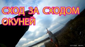 ЩУКА НА СЕМЬ КИЛОГРАММОВ.