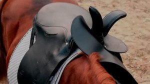 Почему в старину женщины ездили на лошади боком