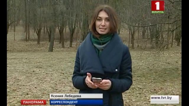 В Беларуси упрощена система работы для ремесленников. Панорама смотреть онлайн