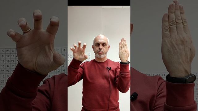 Красавица и чудовище - упражнение для активации и балансировки мозгаю