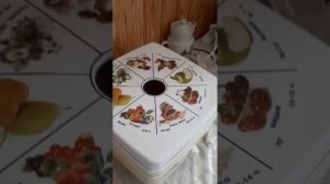 Электро сушилка бытовая"Ротор Дива Люкс"
