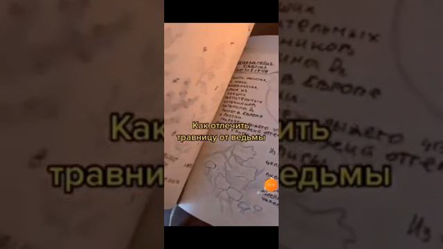 подборка видео из ТТ для ведьм/ травницы смотреть онлайн