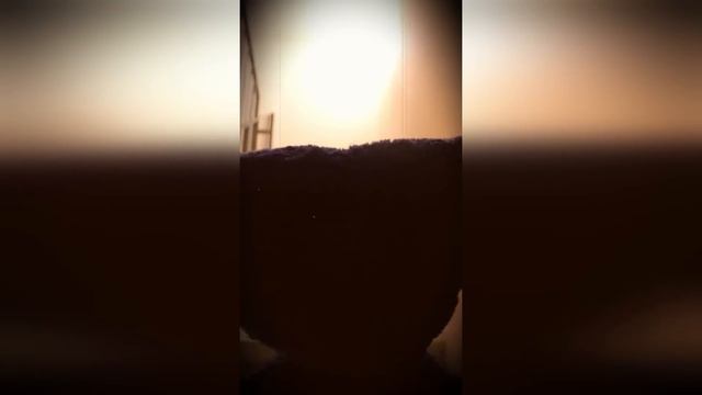Новый ТОП ВИДЕО С КИСИ МИСИ И ХАГИ ВАГИ
