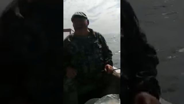 Ловля Окуня, на все Крючки. Fishing