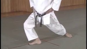 Hiriki no Yosei Ni кихон доса