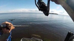 Рыбалка на фидер с продукцией ФЛАГМАН.  Северная дамба Финского залива. Июль 2019 г.