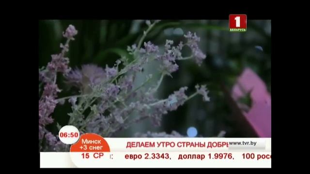 Утренние профессии. Флорист