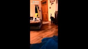 Странное черное существо в доме попало на видео