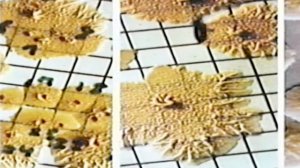 Backrooms-Autopsy Report перезолив с ютуба