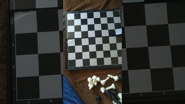 Изучение шахмат часть 2 смотреть онлайн