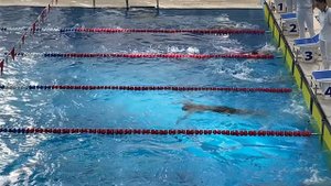 День космонавтики, плавание