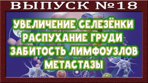 Онкология. Волна очищения. Важность антипаразитарки. Перегрузка выделительных систем. Метастазы.