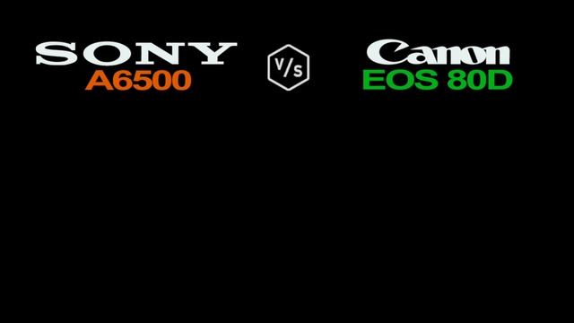 Sony Alpha 6500 vs Canon EOS 80D смотреть онлайн