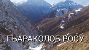 Гараколоб