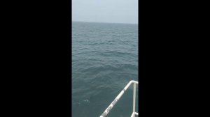 Морские приключения
