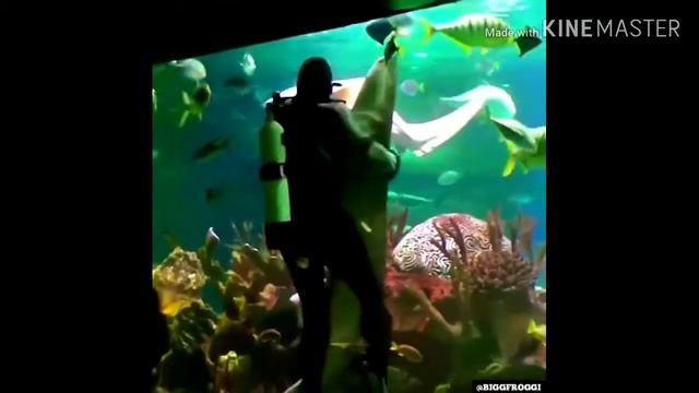 Топ 5 песен для поднятия настроения. смотреть онлайн