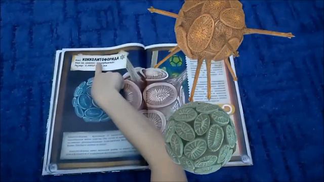 Мел раньше был живой?! Рассказ о коколидофоридах! смотреть онлайн