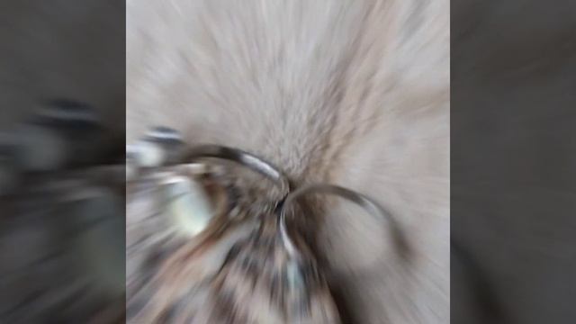 серьги кольцо с пренитом смотреть онлайн