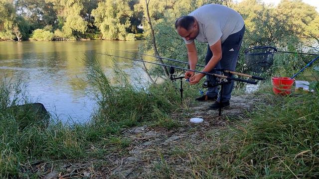 Турунчук сазаны смотреть онлайн