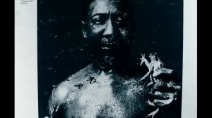 Muddy Waters - I Am The Blues