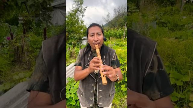 Я сыграю ваши любимые песни 🎵 - @AtipakChristian (Quena, Zampoña, Pan Flute, Quenacho) смотреть онлайн