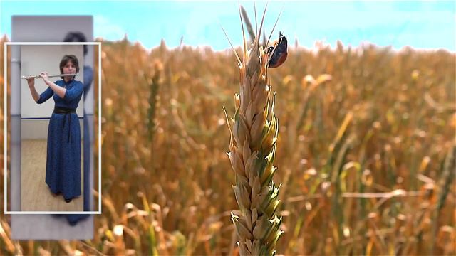 Флейта ГБОУ КШИ смотреть онлайн