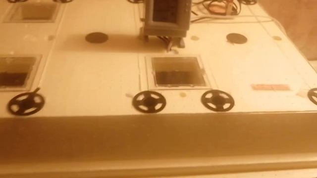 Инкубатор Золушка 2020  на 98 смотреть онлайн