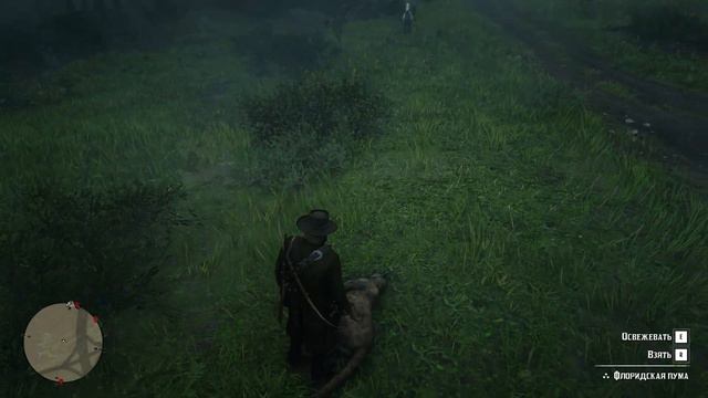 Охота Артура на пуму, а не наоборот | Red Dead Redemption 2 смотреть онлайн