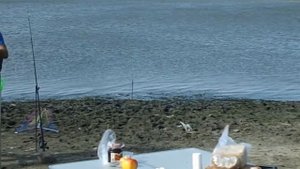 Охота на пелингаса -УДАЛАСЬ!!!!!! х.Рогожкино Ростовская обл.