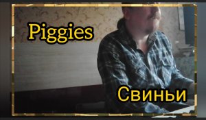 Свиньи © 2024