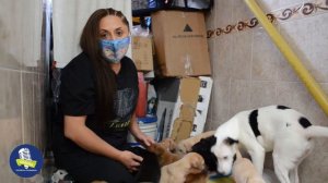 Julieth Animasu Animalistas Soacha, el hogar de pasado que ha salvado a más de 90 animales este 202