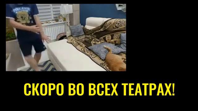 Самвел Адамян Танец умирающего " бройлера "