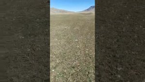 Электропастух Agri UNI2K. Отзыв клиента.
