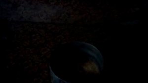 Как и какую еду мы запариваем курам,петуху и цыплятам.Какое зерно для этого используем и мн.др.