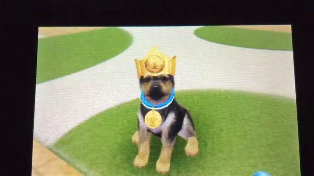 Nintendogs + cats: All The Tricks смотреть онлайн