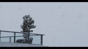 Игорь Чернявский песня Первый снег First Snow